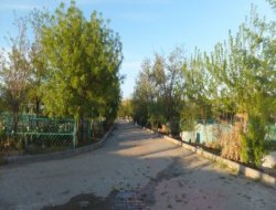 Çınar Şefkat Der'den Taziye Mesajı (Yeni)