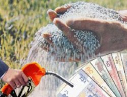 Tarıma destek ödemeleri başladı