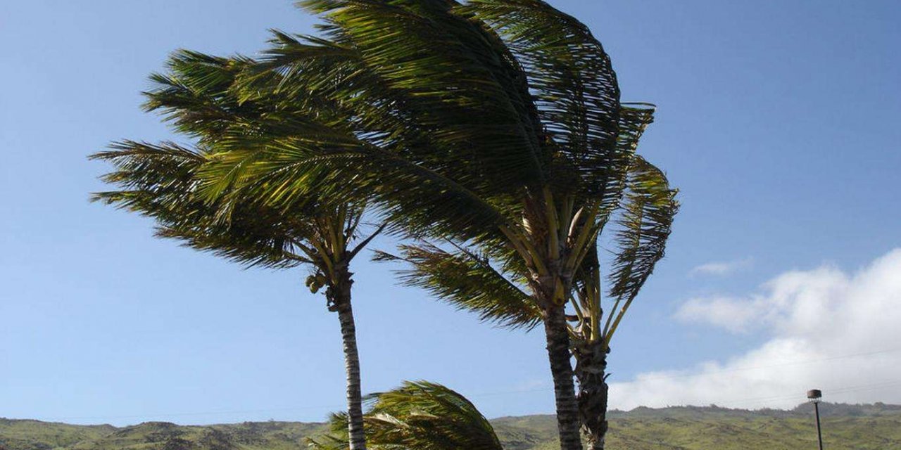 Meteoroloji'den 7 il için kuvvetli rüzgar ve fırtına uyarısı