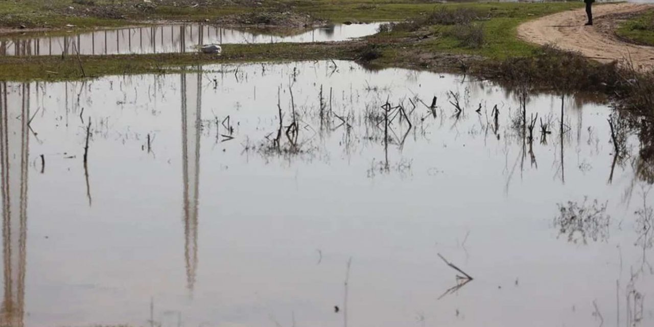 Zionist army floods over 500 dunums of agricultural land in Gaza