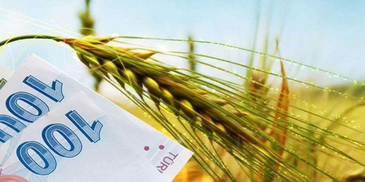 Tarımsal destek ödemeleri başladı