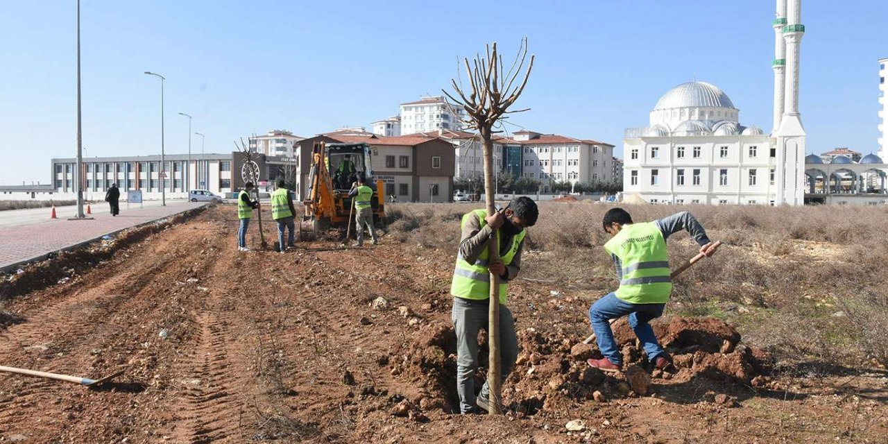 Gaziantep'te milyonlarca fidan toprakla buluştu