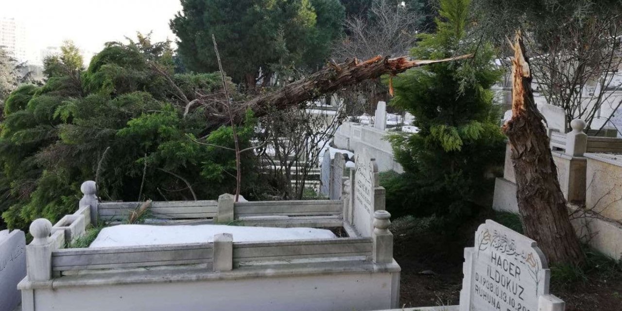 İstanbul'da kar yağışı sonrası devrilen ağaçlar mezarlıklara zarar verdi