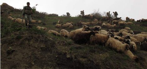 Şemdinli'de hava destekli operasyon