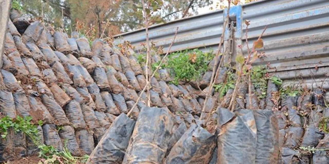 Çiftçilere 7 bini aşkın fıstık ve badem fidanı dağıtıldı