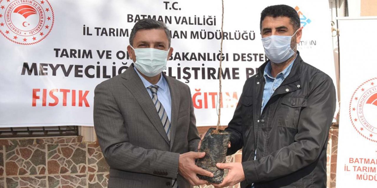 Batman’da 190 çiftçiye fıstık ve badem fidanı dağıtıldı