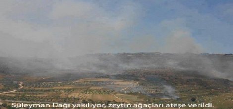 Filistin kaynıyor Gazze kuşatma altında