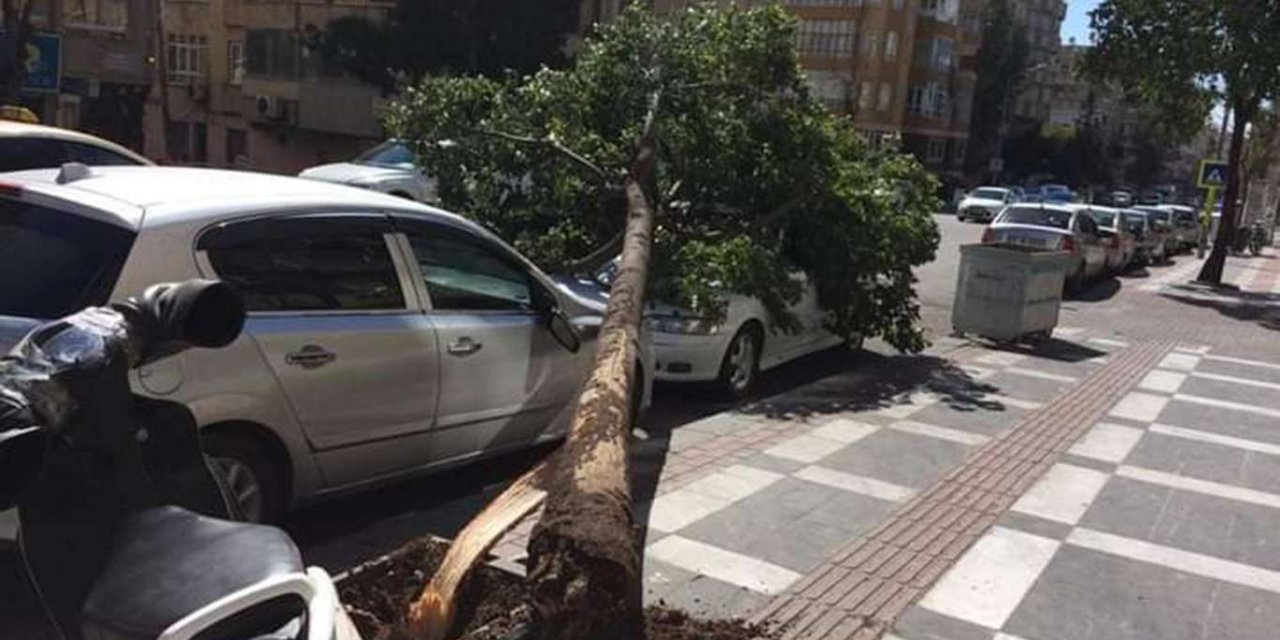 Şanlıurfa'da şiddetli rüzgâr günlük hayatı olumsuz etkiledi