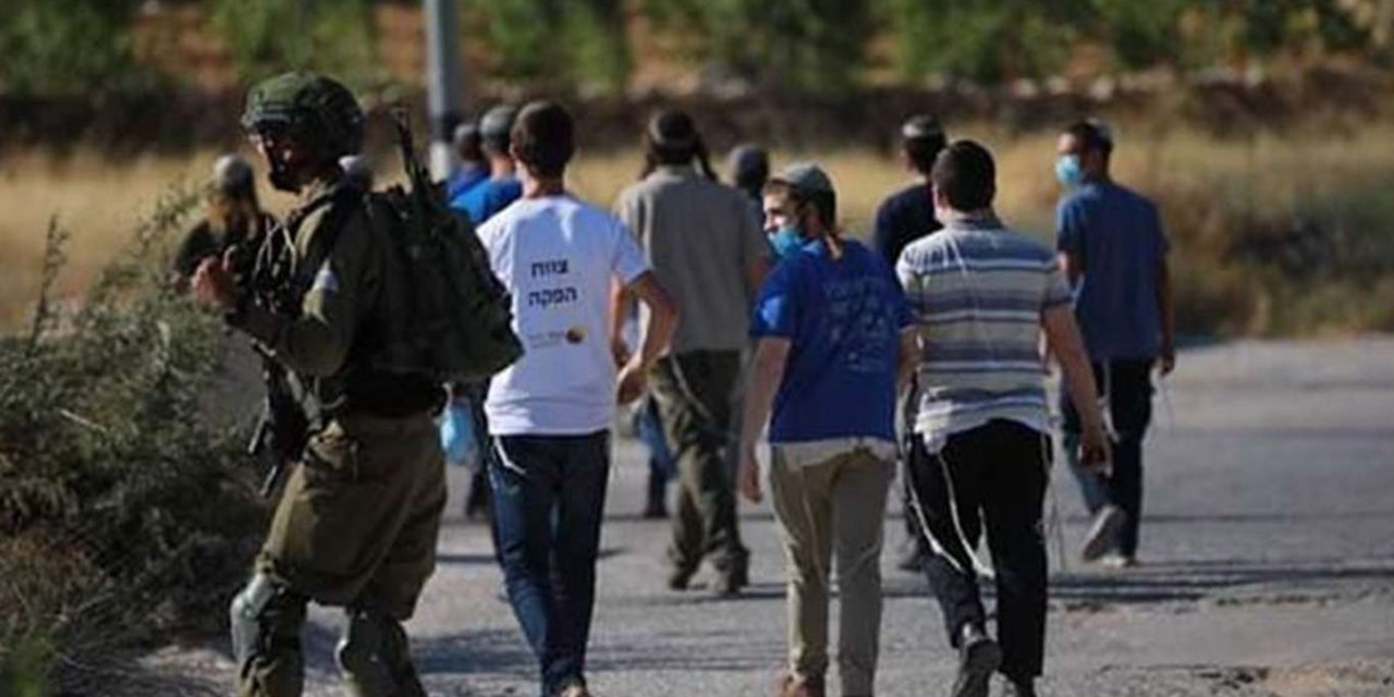 Zionist settlers attack Palestinian farmer and his wife in Masafer Yatta