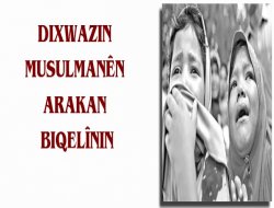 Dixwazin Araqaniyan Biqelînin