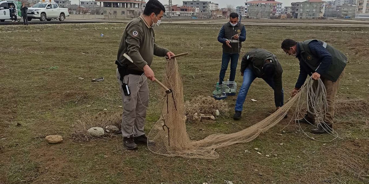 Koruma altında bulunan kuşları yakalayan şahsa ceza kesildi