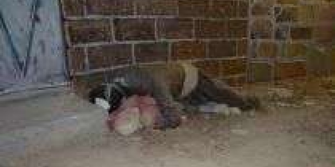 Helepçe navê zilm û komkujîya ku ji teref zalim û mustekbîran ve hatiye kirin e