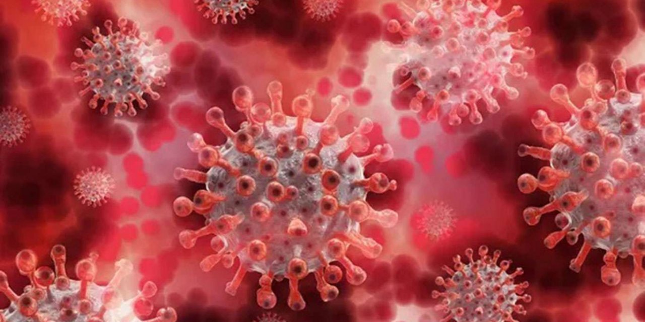 Rusya’da Coronavirus'ün Güney Afrika mutasyonu görüldü