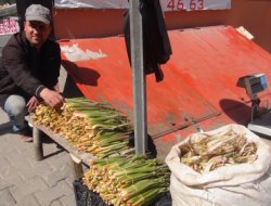 Uçkun ve Kenger tezgahlardaki yerini aldı