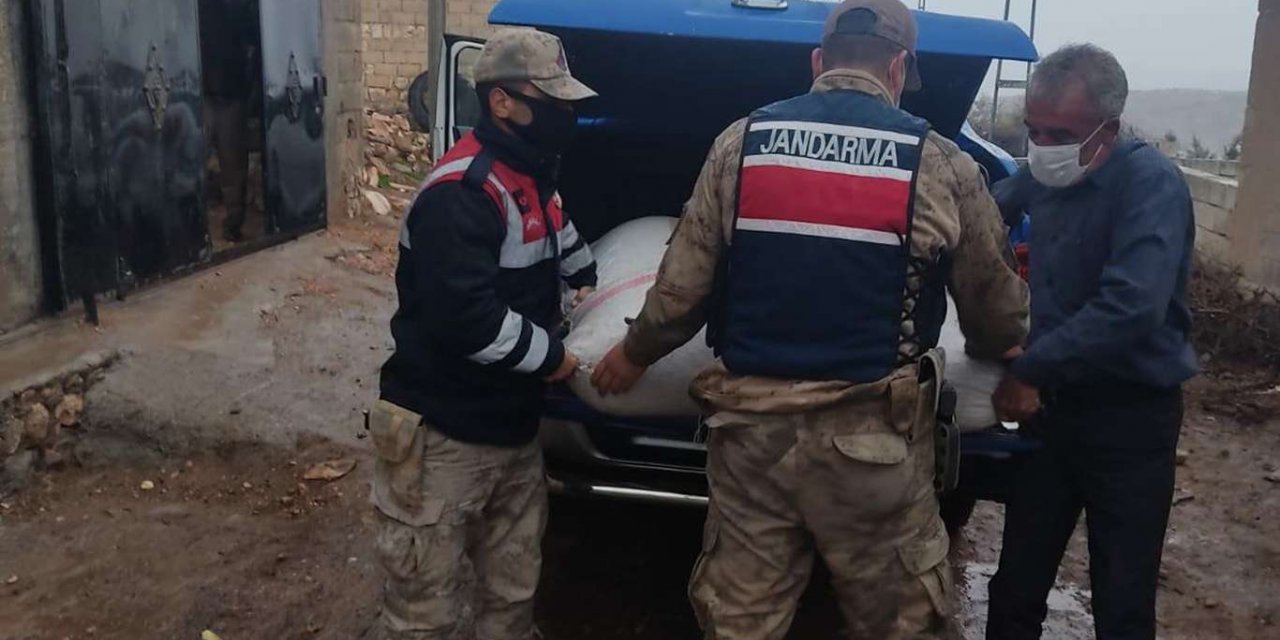 Adıyaman'da fıstık çalan şahıs yakalandı