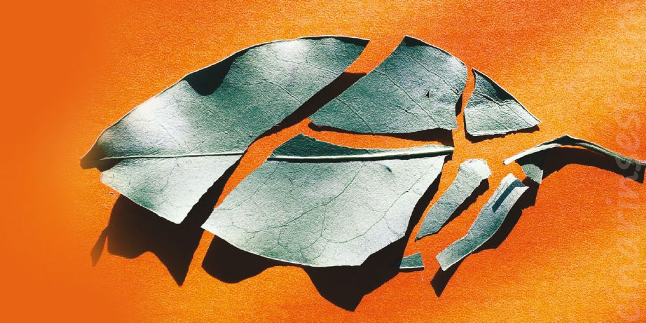 Ümmetin enerjisini heder eden ihtilaflar