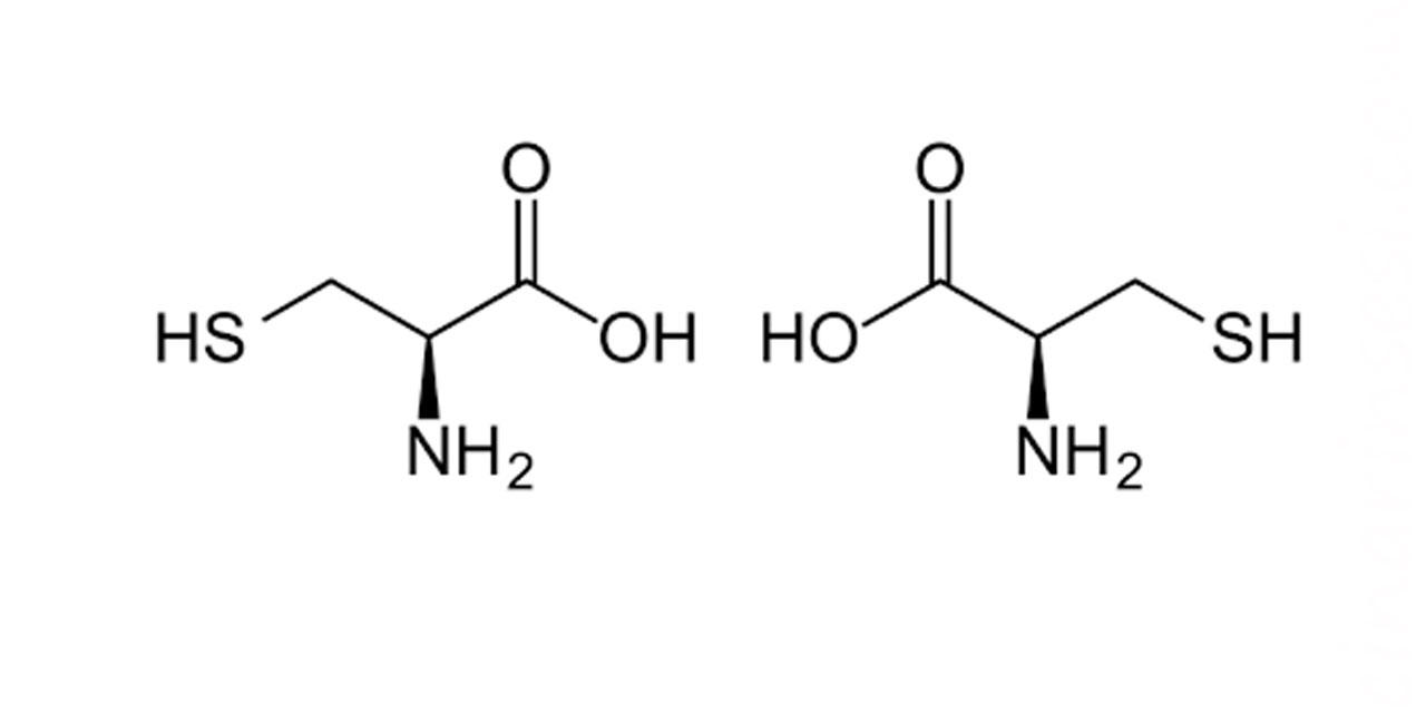 Yediklerimizin İçinde Ne Var? 3