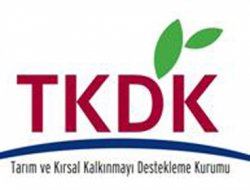 TKDK başvuru çağrı ilanına çıktı