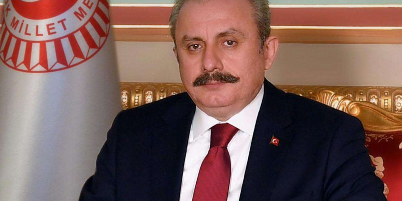Meclis Başkanı Şentop'tan yeni anayasa açıklaması