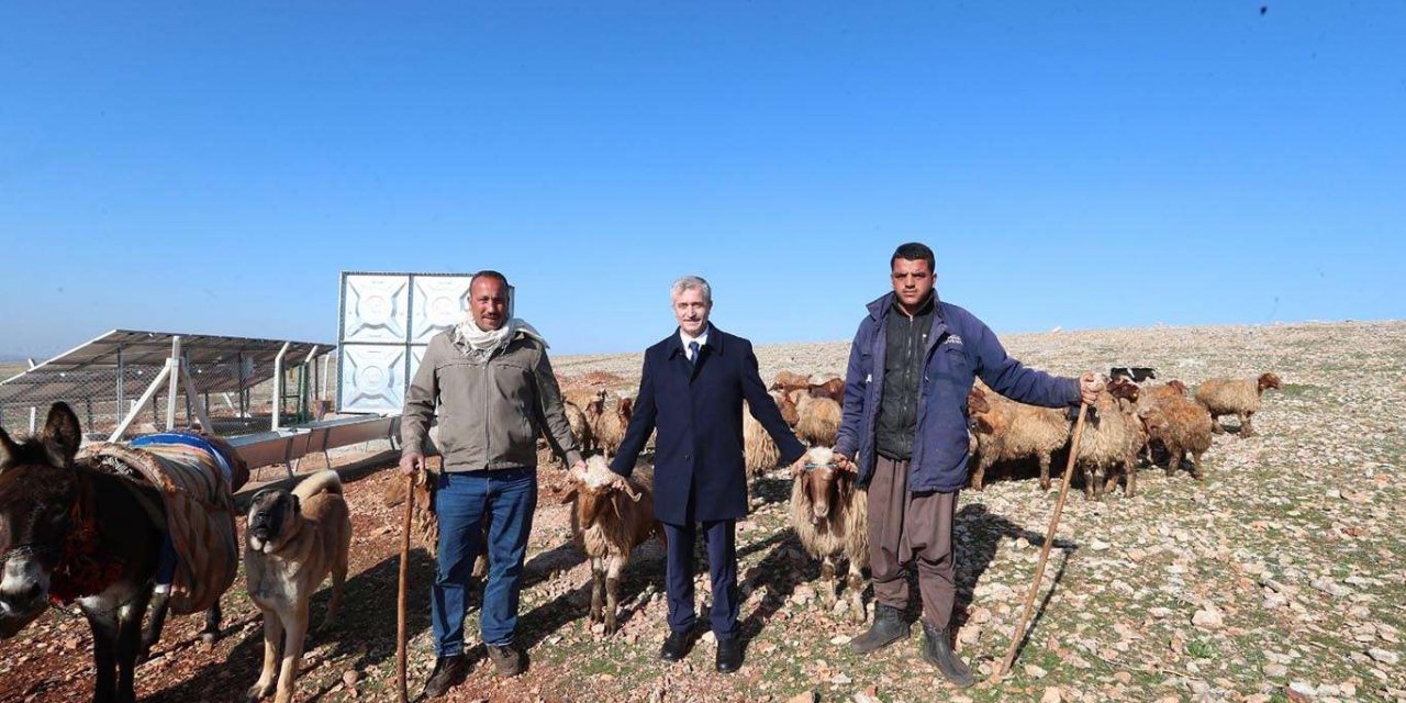 Gaziantep’te hibe desteğiyle hayvancılık gelişiyor