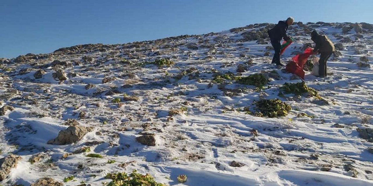 Yoğun kar yağışı nedeniyle aç kalan hayvanlar için dağa yem bırakıldı