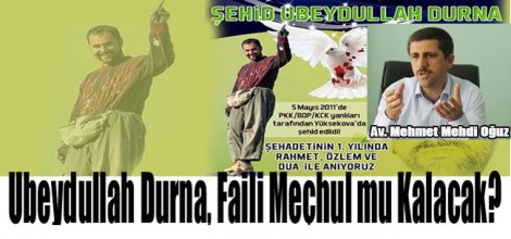 `Cinayetin Çözümü Siyasi İradeye Bağlı`