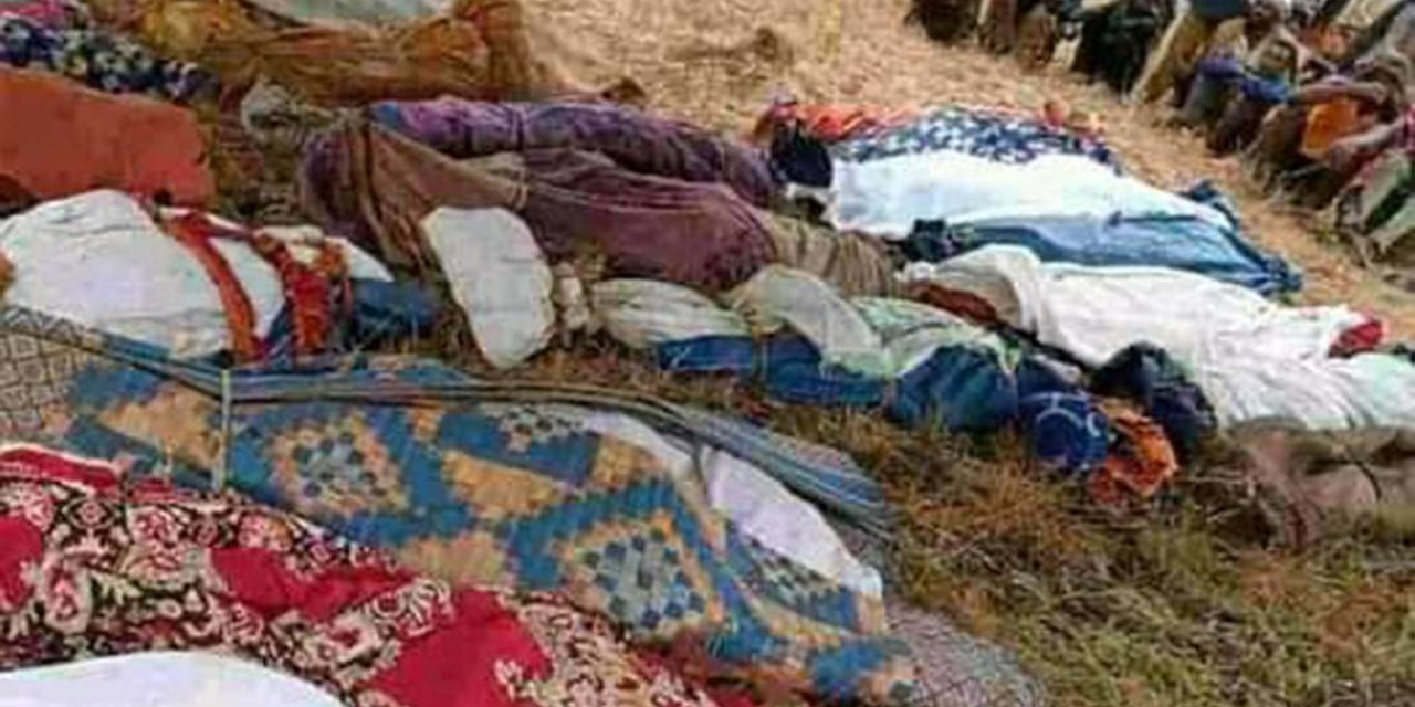 At least 28 Ethiopian civilians killed in armed attack