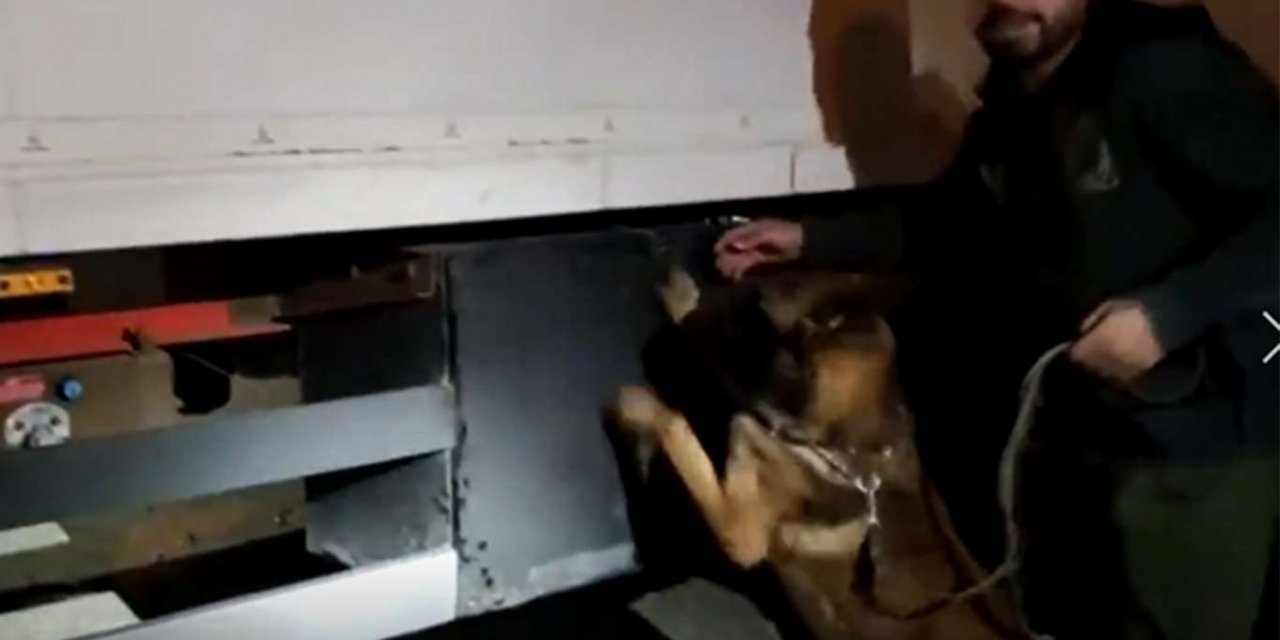 Turkish police seize 31 kg of heroin in Şanlıurfa