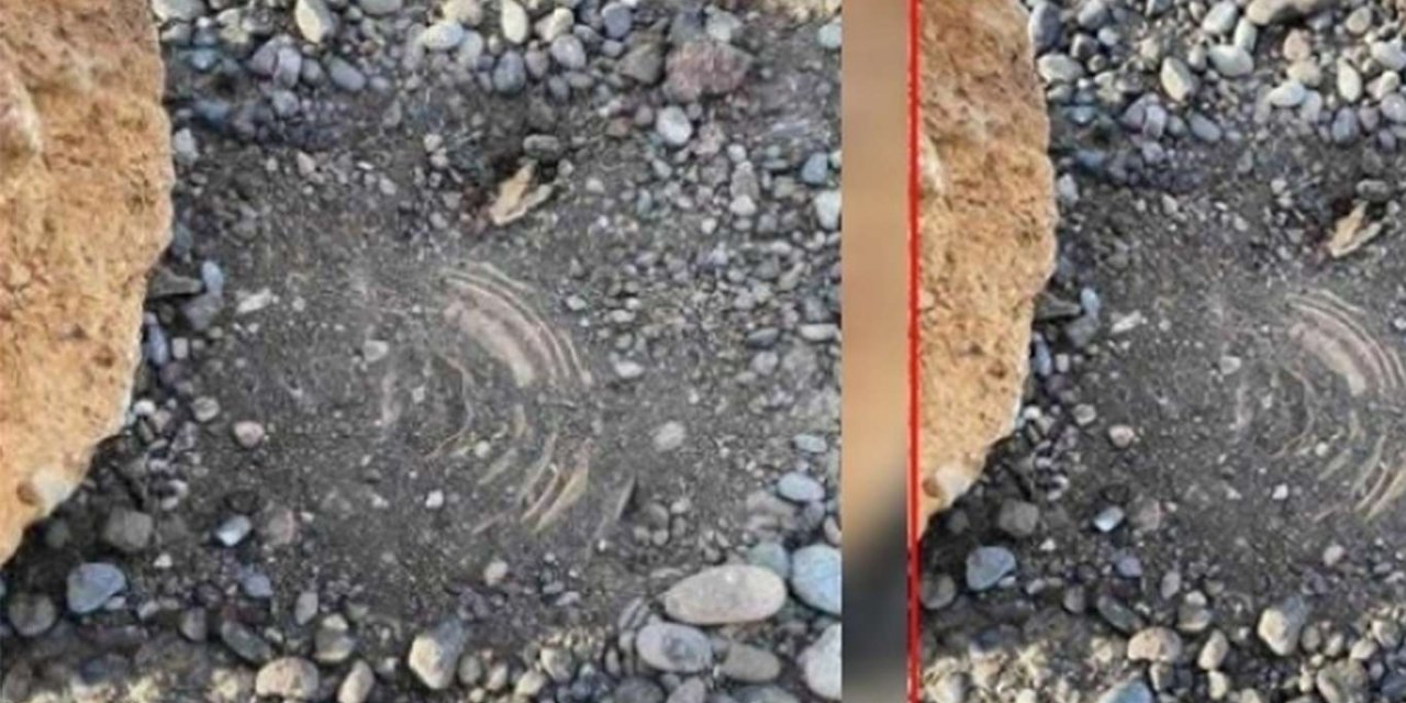 PKKê li Dihokê di rêya gund de mayîn bicî kir