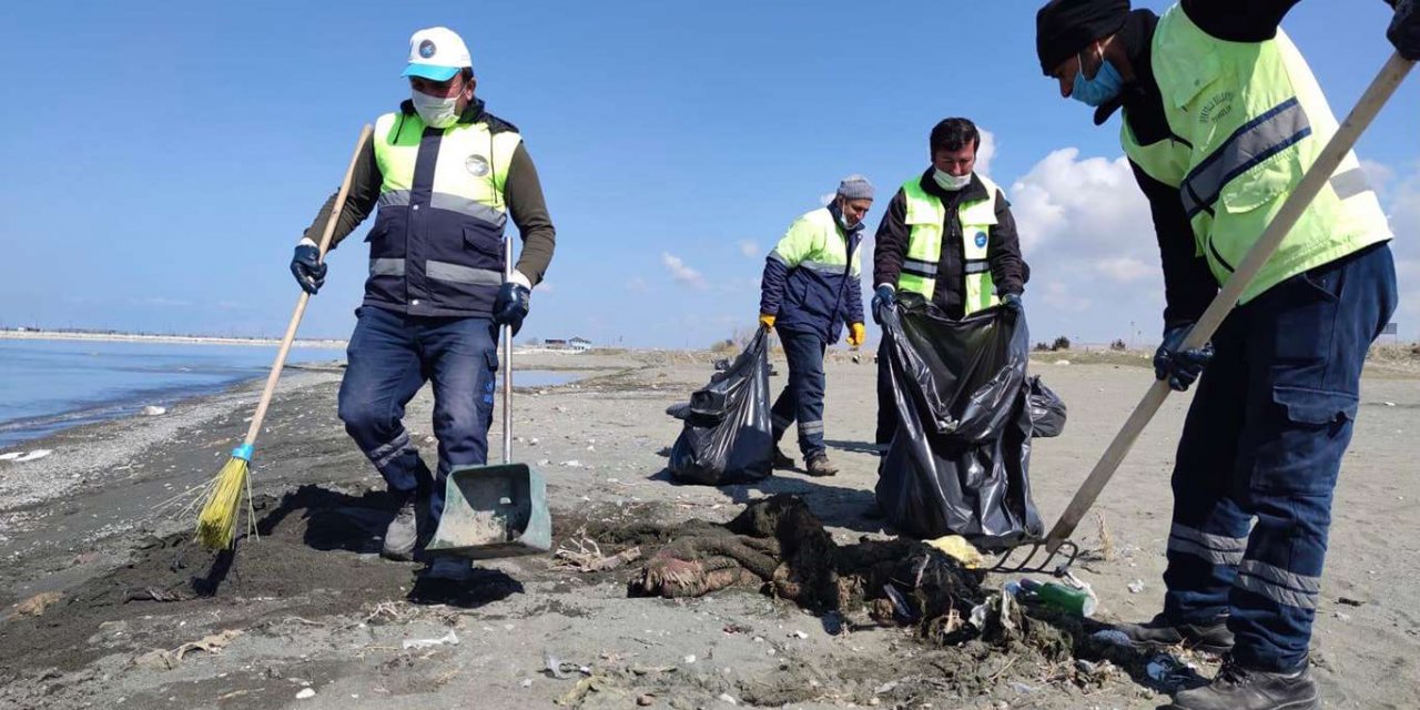 Van Gölü kıyısında temizlik