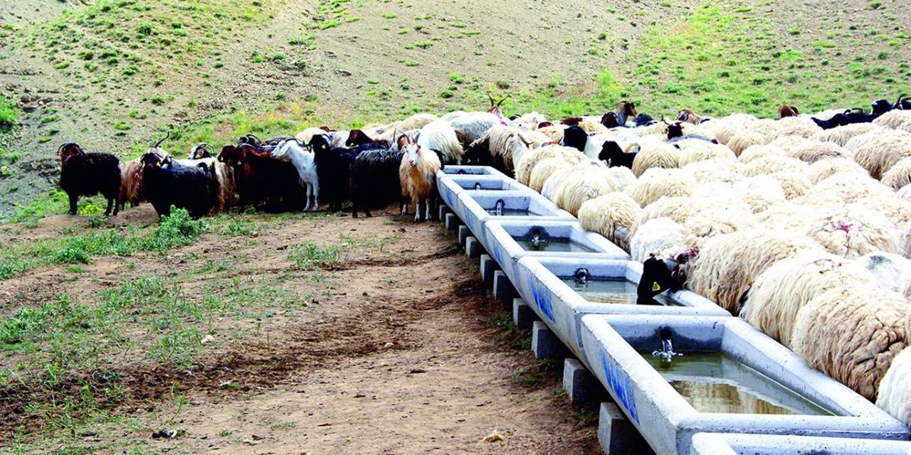 Van'da tarım ve hayvancılığın geliştirilmesi için DAP’dan 3 milyon 500 bin TL'lik destek