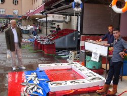 Balık satışları durma noktasına geldi