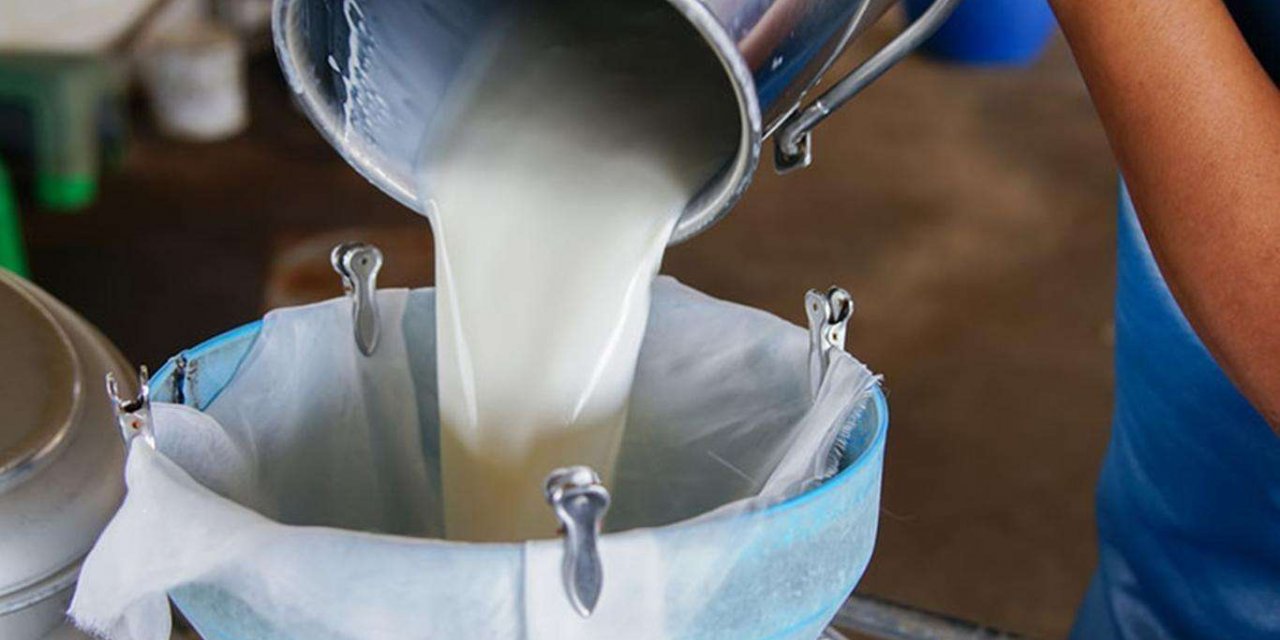 Süt üretimi bir önceki yıla göre azaldı