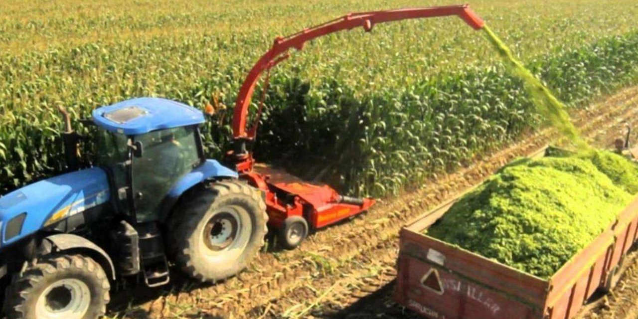 Turkey: Producer price index of agricultural products rises by 22.06% annually