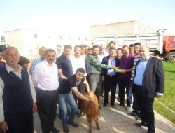 Kızıltepe'de ilk arpa hasadı yapıldı