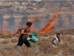 Yahudiler ekinleri yaktılar