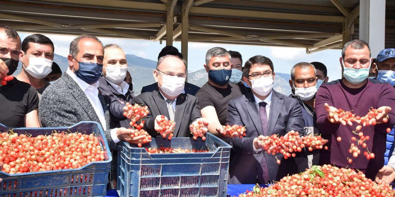 Yılın ilk kirazları açık artırmayla satıldı