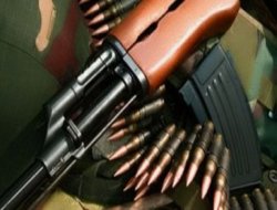 Wesaîta Mîna Cebilxane