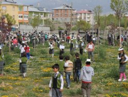 Van'da "fidan kardeşliği" projesi
