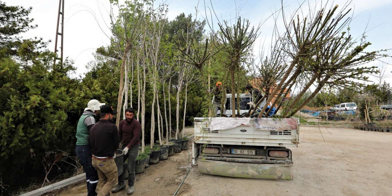 Van Büyükşehir Belediyesinden hafta sonu mesaisi