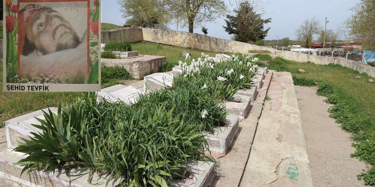 Kur'an aşığı Çınarlı Şehid Tevfik Demir