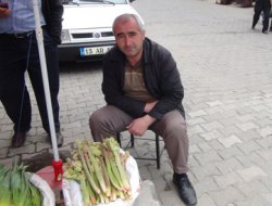 Yayla muzu altınla yarışıyor
