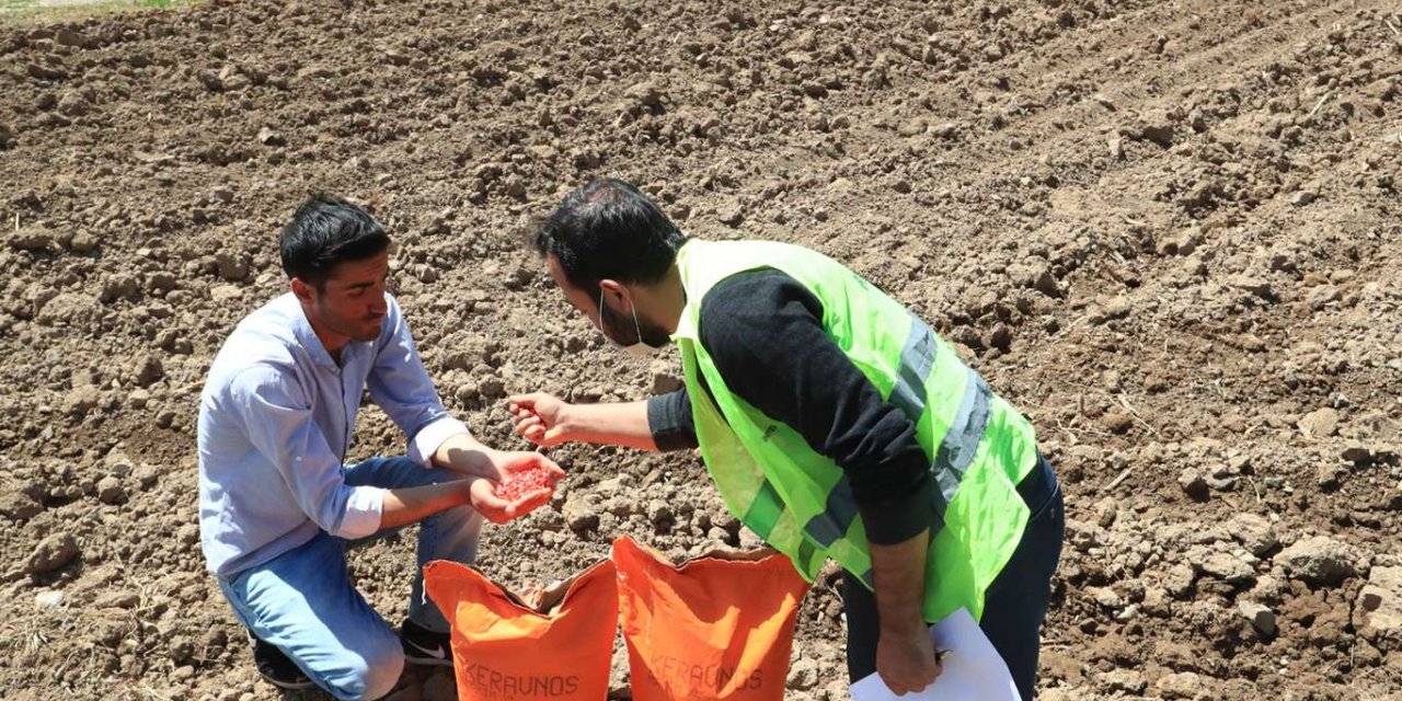 Van'da çiftçiye tohum desteği