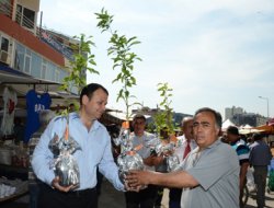 Adana'da 20 bin turunç fidanı dağıtılacak