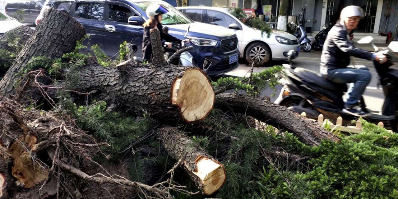 Çin'de şiddetli fırtına: 11 ölü, 102 yaralı