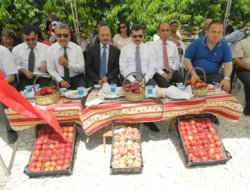 Tarsus'ta Şeftali Nektarı hasadı yapıldı