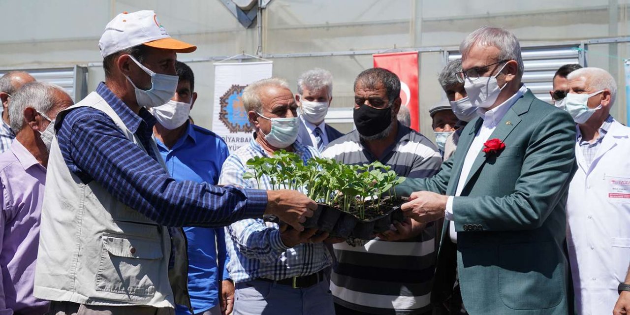 Üreticilere 5 bin Diyarbakır Karpuzu fidesi dağıtıldı