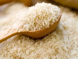 İTÜ, GDO Raporundan Geri Adım Attı