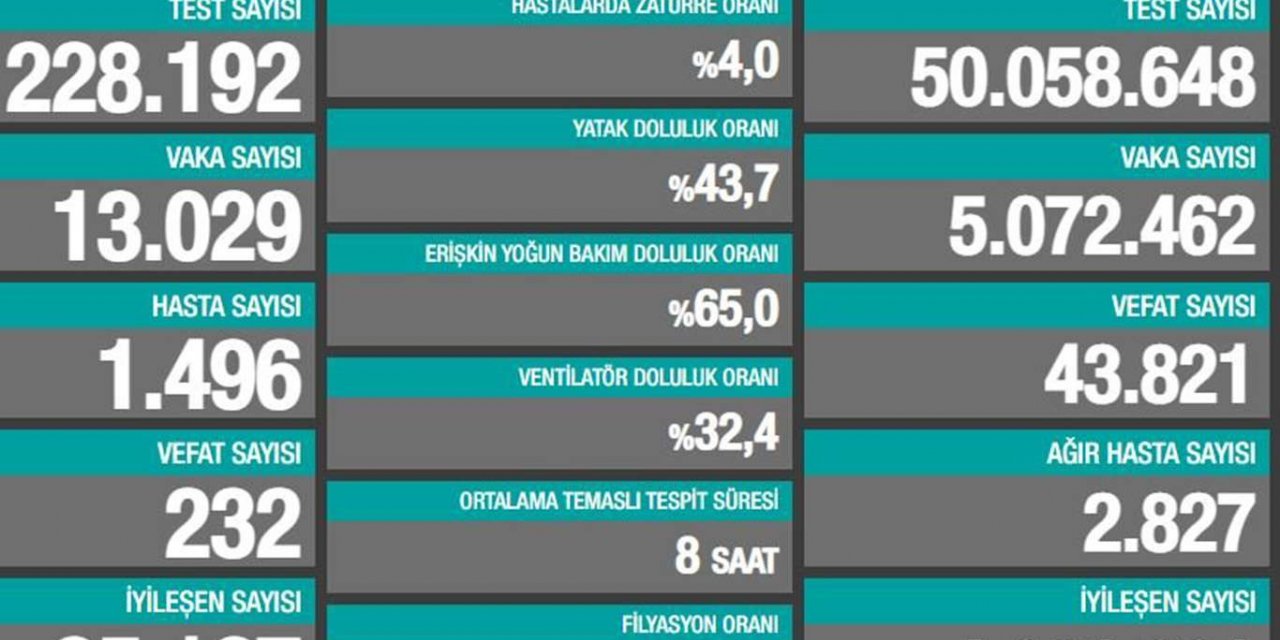 Türkiye'de son 24 saatte Covid-19'dan 232 kişi vefat etti