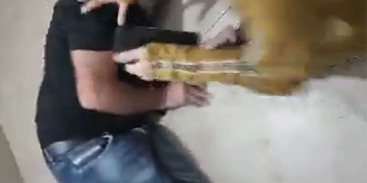 Çeteyên terorîst û siyonîst Filistînîyan di malên wan de qetil dikin